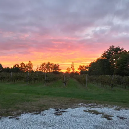 Agriturismo Barone Rosso-3
